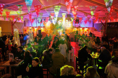 16-DJ-Robert-Marekovic-Advent-u-Zadru-12.12.2025-Foto-Bojan-Bogdanic