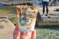 b4034d9f-a18c-45e5-a849-b49d8a2be211