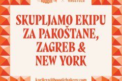 Boogie_zapos╠iljavanje_01