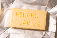 Boogie_zapos╠iljavanje_14