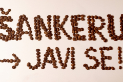 Boogie_zapos╠iljavanje_15