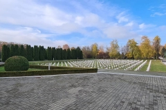 315562781_480160594210201_3693295714013824768_n