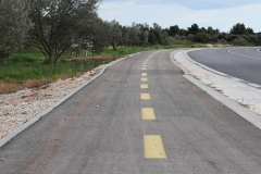 177538047_1647326785461470_7030049376493580158_n