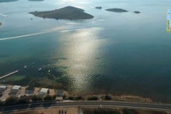 177581467_1647326972128118_6926960636831590774_n