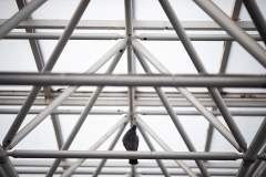 c.galleria_7.10.2023-44