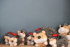 289352638_5134871796599373_8267887147669518678_n