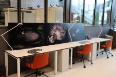 289413992_5134871656599387_6076488620106080936_n