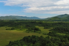 289454312_5134879796598573_3936510279792656815_n