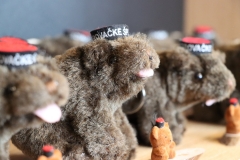 289549446_5134871876599365_6762557753787196598_n