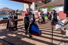 343439881_247376187848694_8070392306427001675_n