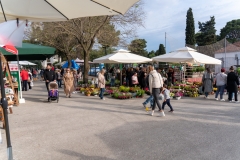 343949483_811886140590493_1870450920131312909_n