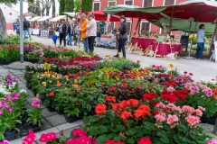 343961803_942985610174250_5791233215808886846_n