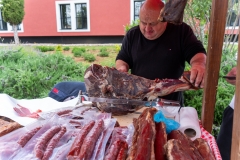 343972209_257441456647232_1023555268576701151_n