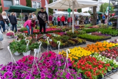 343990296_543630937706325_7763467876841696379_n