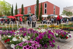 344031546_775328920887365_2253620762856111395_n