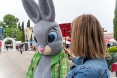 344172741_1258153131483533_3558858433908048014_n