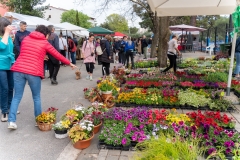 344191504_1299008974045360_2586228958392998686_n