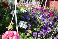 342964098_903617600709308_3159652434069895408_n