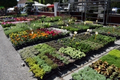 343722787_802914191482671_1784283725055123186_n