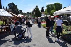 343726931_944434773416194_7421723429977605920_n