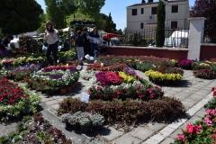 343727334_191734043718896_2473795570935761327_n