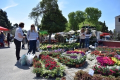 343727885_992431701651785_2063241984663709944_n