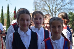 343728959_733096825179960_7247538292125455008_n