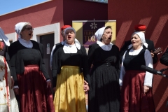 343907284_3563099110644926_7098790531852492048_n