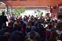 343922810_9160291350679917_8692731017868148926_n