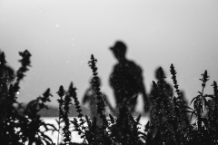 IMG_8282