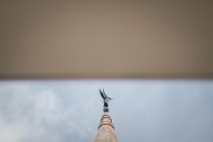 IMG_8559