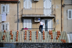 Djir_po_gradu_10_11_21_-5-of-76