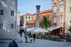 Djir_po_gradu_10_11_21_-51-of-76