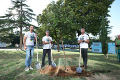 231c2bd7fb11008fb2e7d39571fa3add_XL