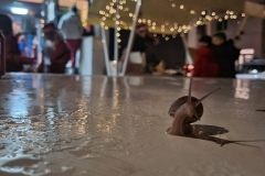 320384382_693470455494223_1255453767550550409_n