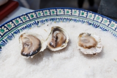 30-06-Tuna-Sushi-_-Wine-Festival-Zadar-20.4.2023-jutro-foto-Bojan-Bogdanic_1600_1067