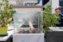 49-08-Tuna-Sushi-_-Wine-Festival-Zadar-21.4.2023-jutro-foto-Bojan-Bogdanic_1600_1067