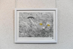 275847151_310161111210151_8876843096870987126_n