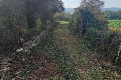 161901930_1619612694899546_6501766850826793471_n