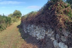 161937004_1619612738232875_2822658932306325744_n