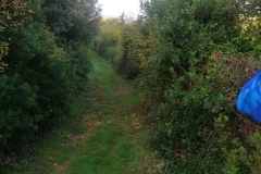 161956709_1619612658232883_3551382800102551589_n