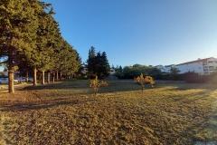 162112126_1619612114899604_5430660082412982630_n