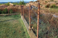 162132869_1619612451566237_7029546990603199846_n