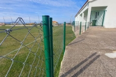 162198590_1619612318232917_2468984341907228590_n