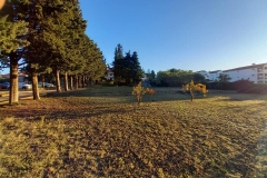 162610712_1619612171566265_82105888902407246_n