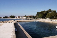 162202646_1619632238230925_1181884796583689343_n