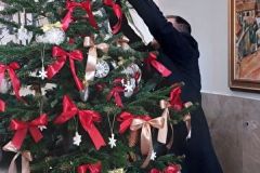 20241213_100540_resized