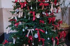 20241213_103849_resized