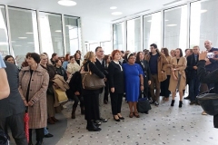 20231121_115643_resized