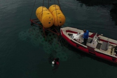 PHOTO-2021-02-17-20-40-22_1